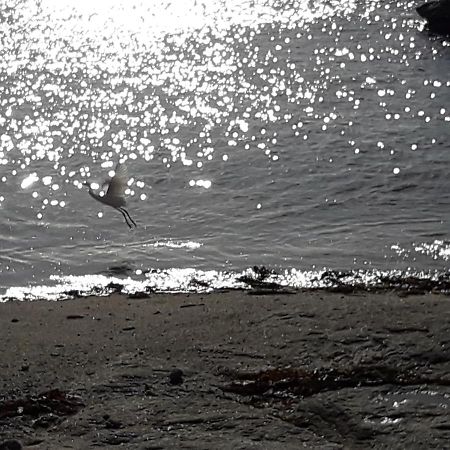 Appartement Proche De La Mer Guilvinec 외부 사진